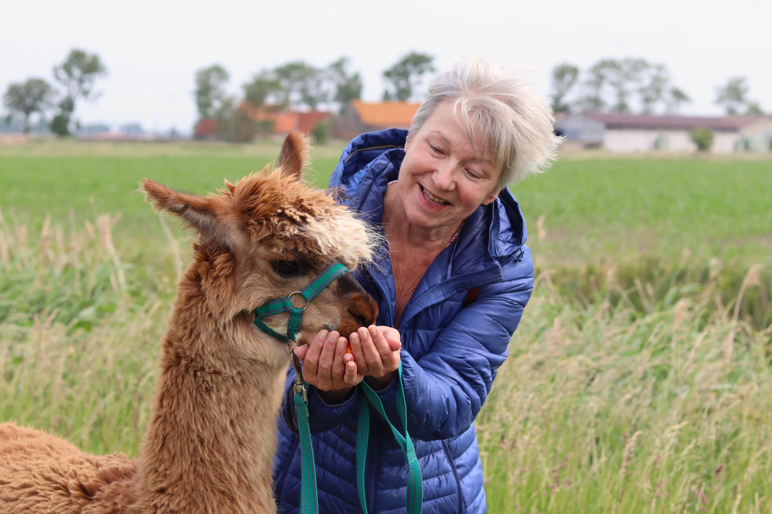 Lees meer over het artikel Respecteer onze dierenvrienden en geef ze een goed leven